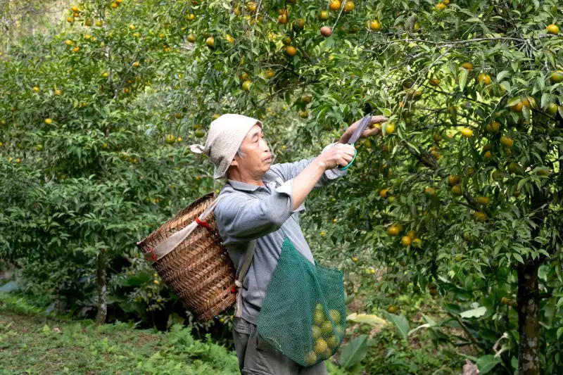 企业画册设计生产工艺流程及质量管控要点解析
