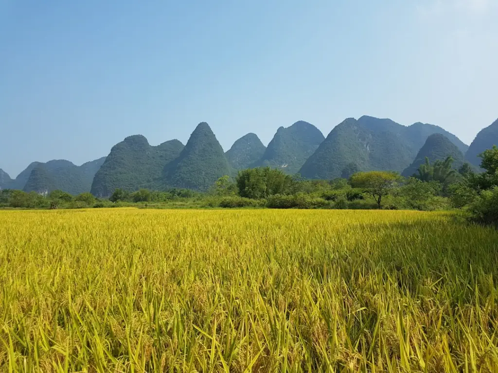 华中地区企业品牌VI系统建设的关键要素与实施路径