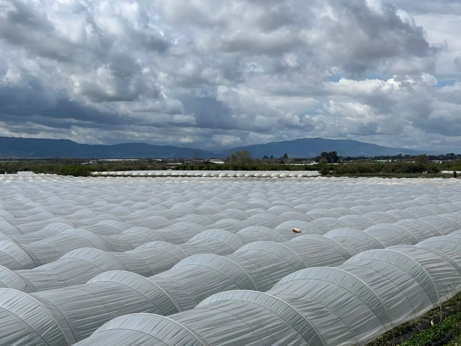华中地区企业品牌VI视觉系统设计要点与实施流程解析