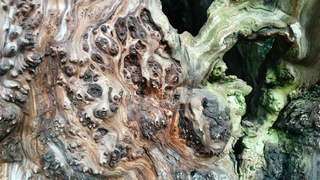 画册设计印刷工艺对比：胶印与数码印刷的适用场景与成本分析